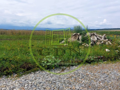 Teren Intravilan 500mp,spre vanzare in Sura Mica