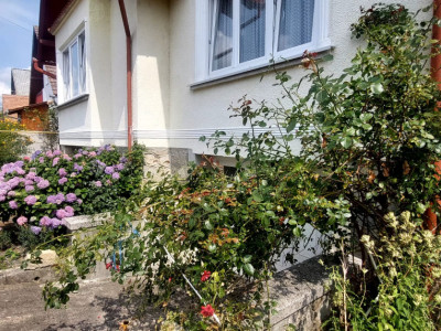 Casa 2 camere si curte de  500mp,spre inchiriere in Valea Aurie