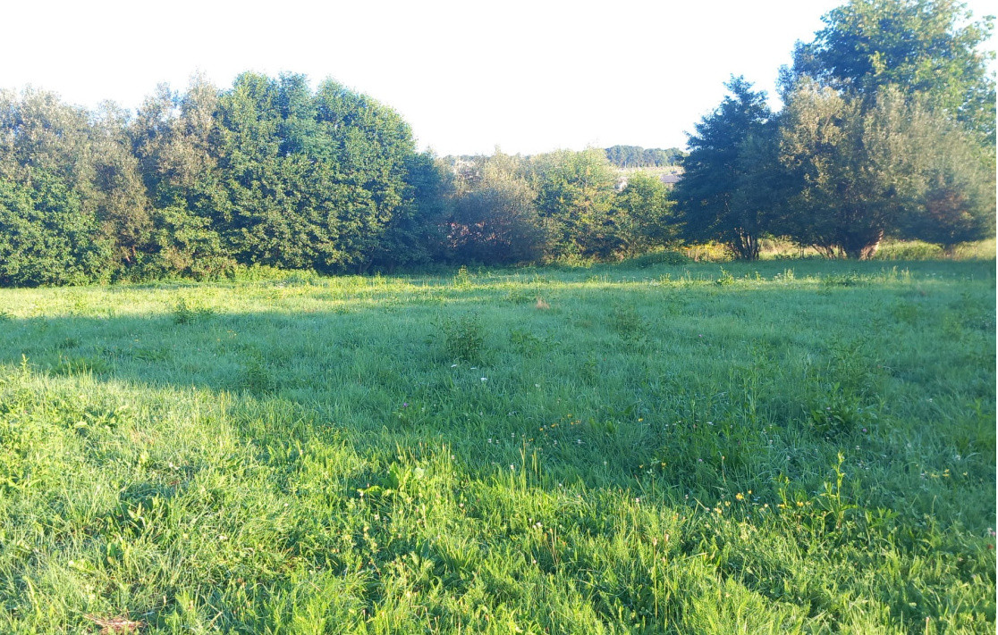 Teren intravilan  | 860 mp | de vânzare- Tocile-Sadu