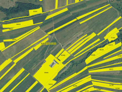 Teren extravilan de 5800 mp, sat Suceagu