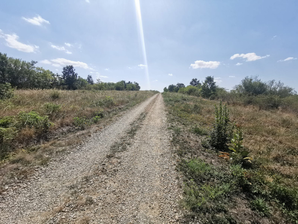 Teren intravilan de vanzare, 3.500 mp, cu front stradal de 21,5 ml