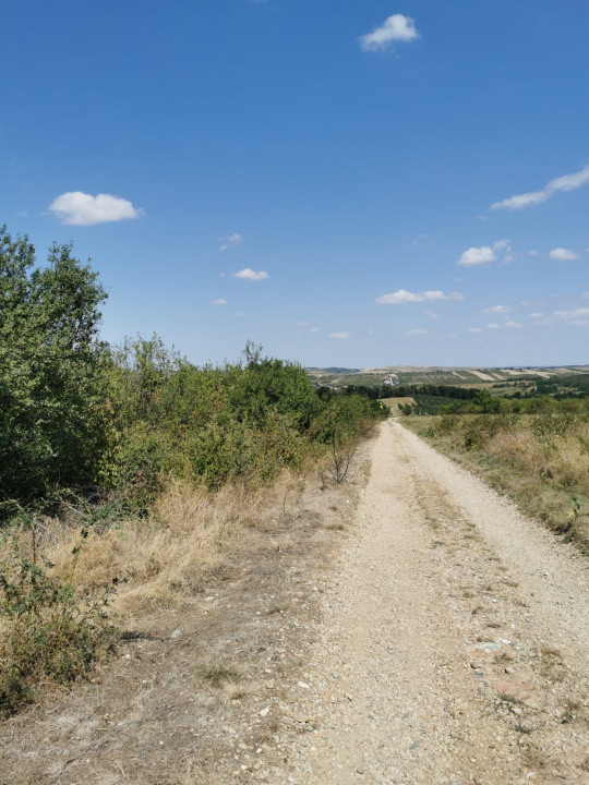 Teren intravilan de vanzare, 3.500 mp, cu front stradal de 21,5 ml