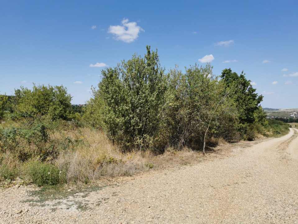 Teren intravilan de vanzare, 3.500 mp, cu front stradal de 21,5 ml