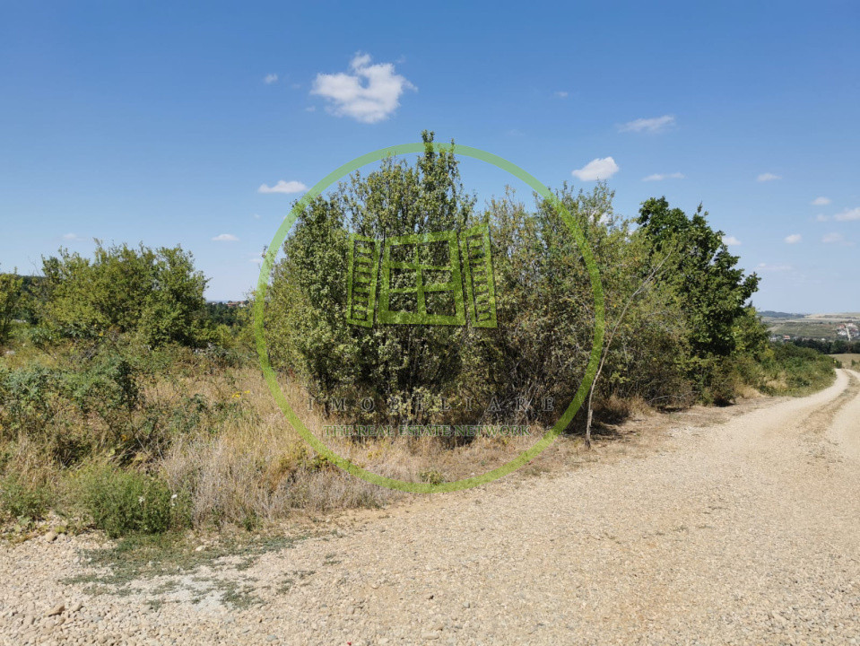 Teren intravilan de vanzare, 3.500 mp, cu front stradal de 21,5 ml