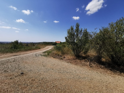 Teren intravilan de vanzare, 3.500 mp, cu front stradal de 21,5 ml