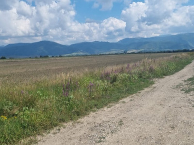 Teren intravilan 480mp,cu autorizatie de constructie,  spre vanzare in Cristian 