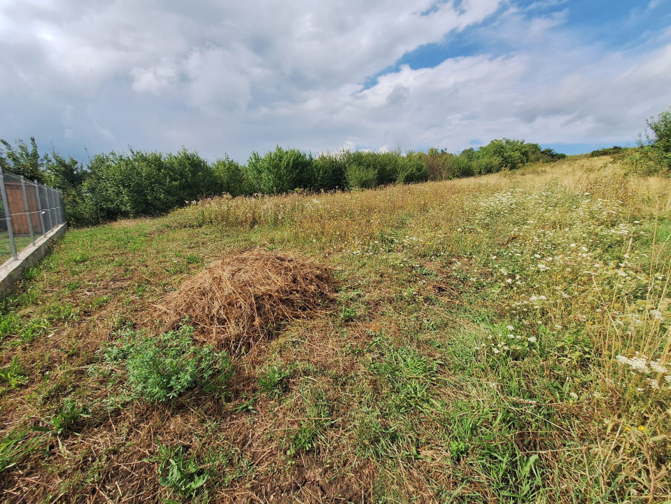 Oportunitate! Teren intravilan de vânzare, 2000 mp., Tureni