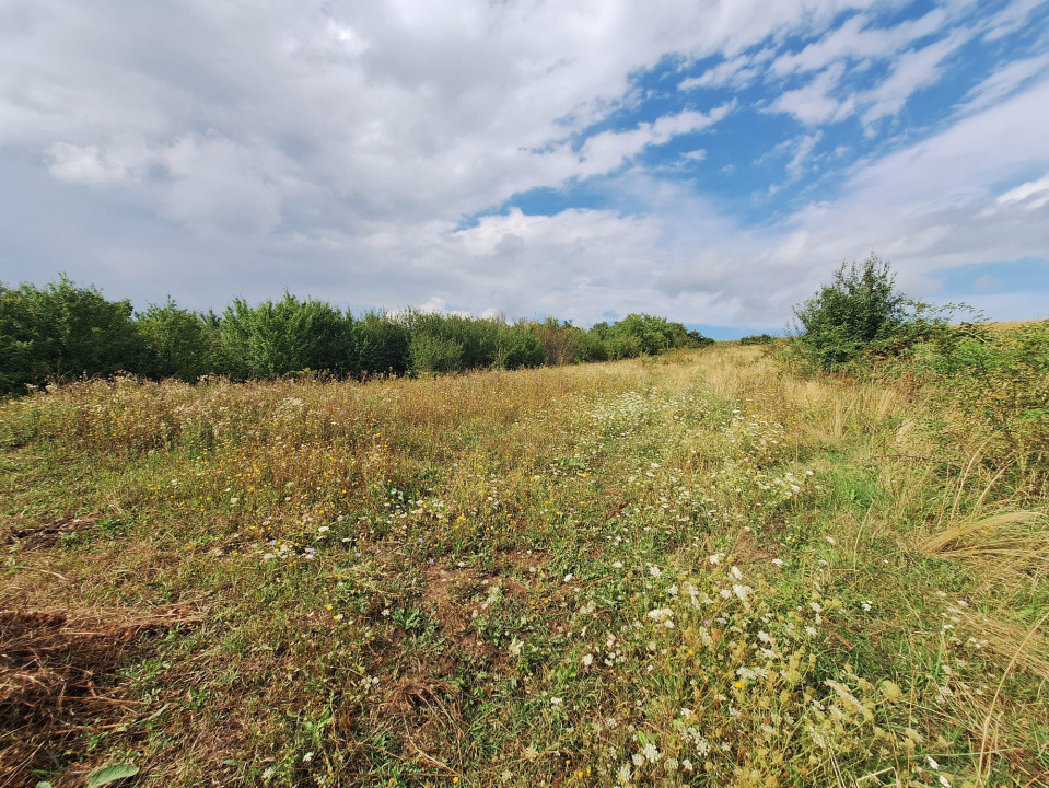 Oportunitate! Teren intravilan de vânzare, 2000 mp., Tureni