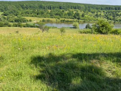 Teren extravilan 550mp  la drum ,spre vanzare in Tocile