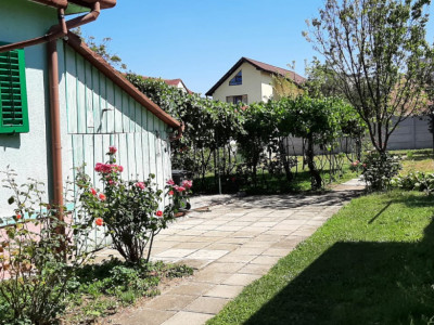 casa 2 cam 85mp,curte490mp,spre inchiriere  in Trei Stejari