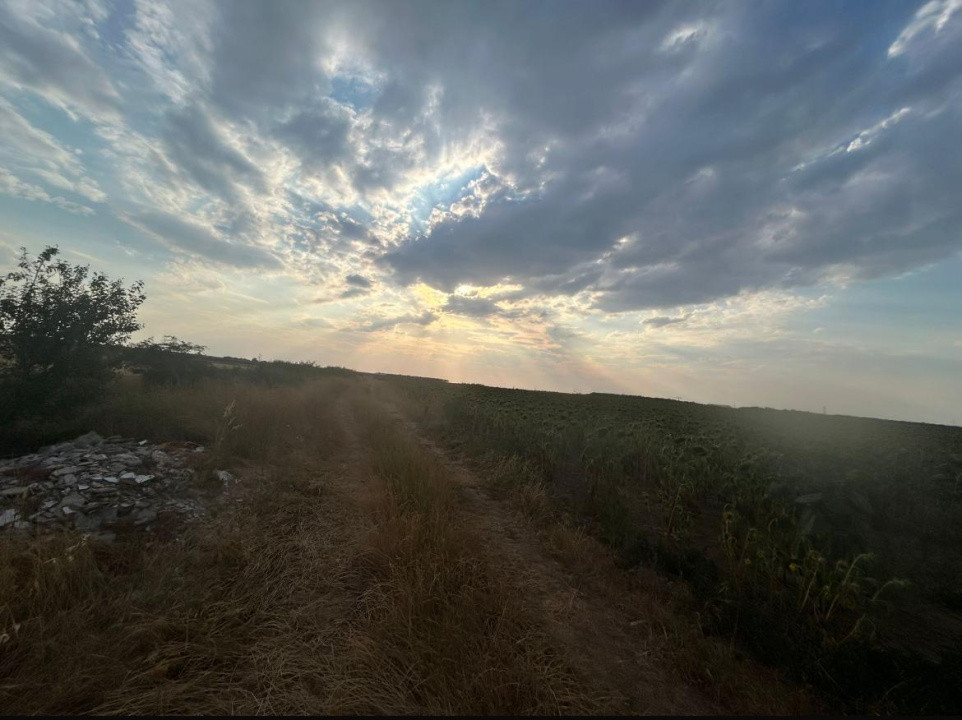 Teren intravilan, 9500 mp, Carcea