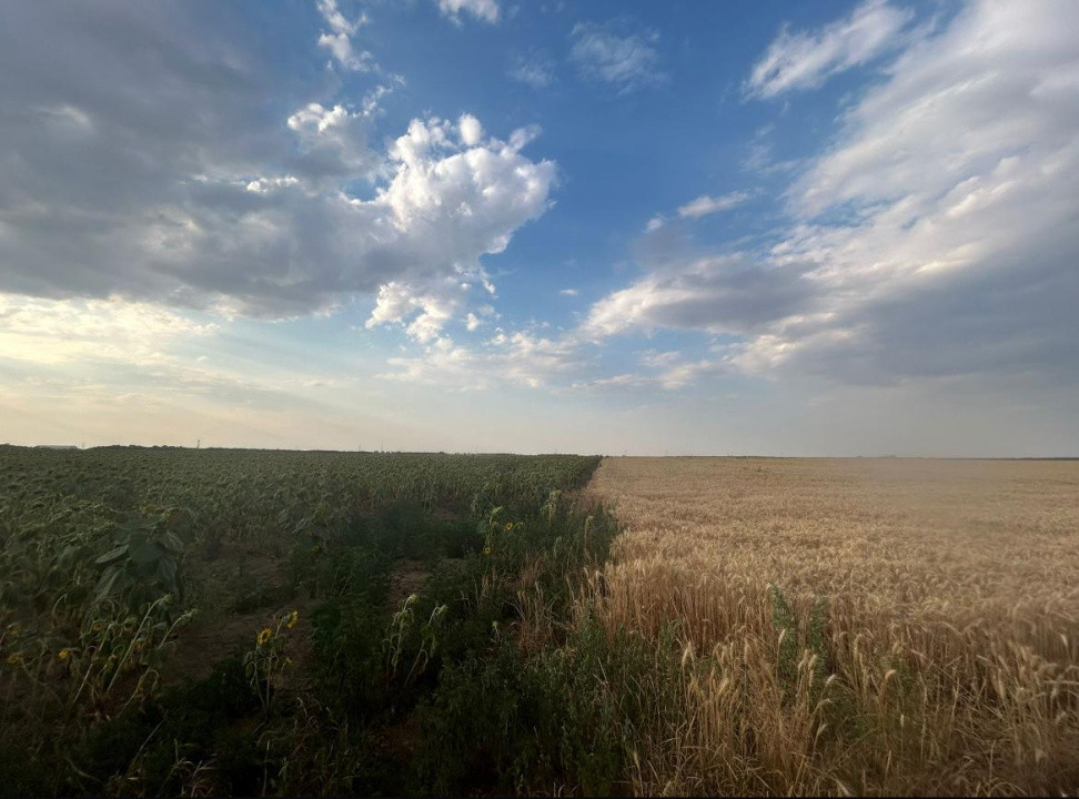 Teren intravilan, 9500 mp, Carcea