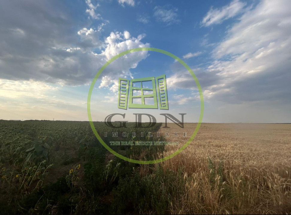 Teren intravilan, 9500 mp, Carcea