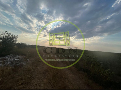 Teren intravilan, 9500 mp, Carcea