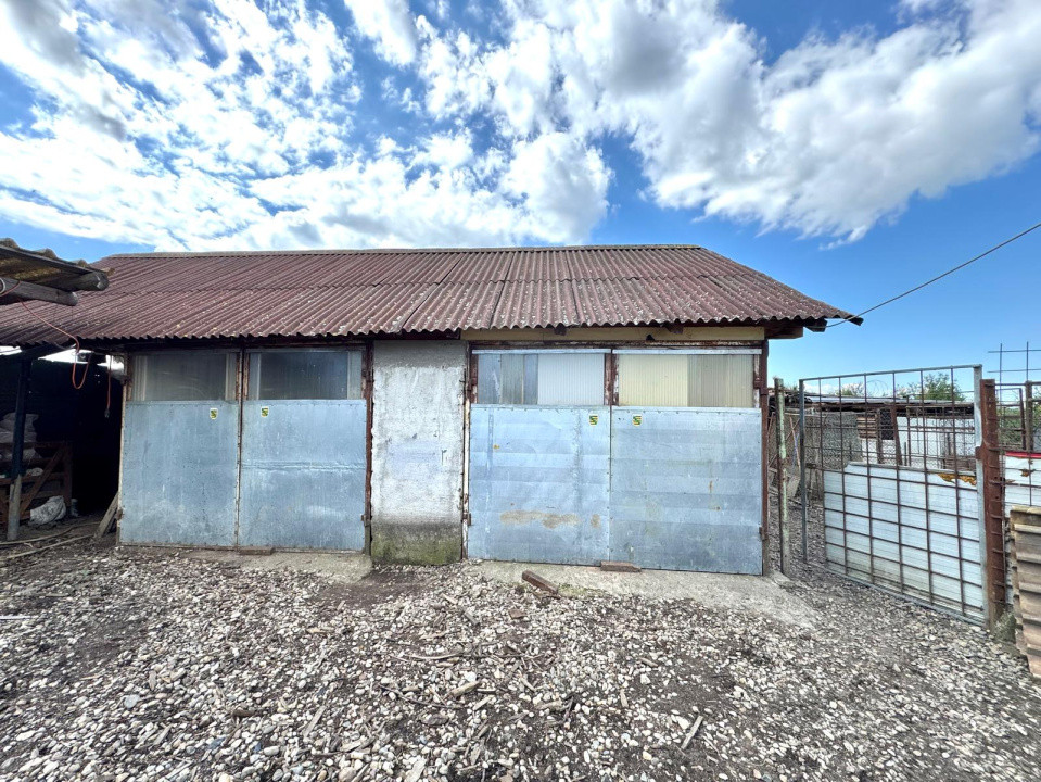 Casa spatioasa cu zona amenajata pentru ferma - Cicarlau