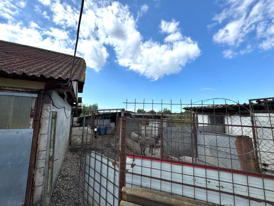 Casa spatioasa cu zona amenajata pentru ferma - Cicarlau