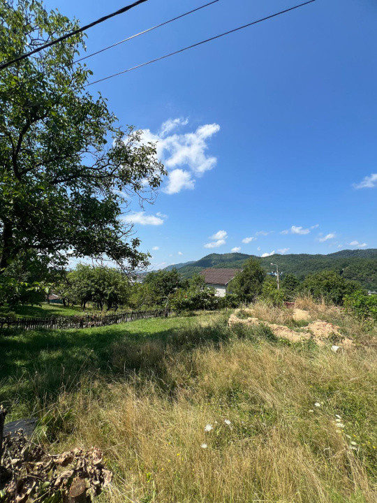 Teren intravilan in zona linistita de 13 ari 