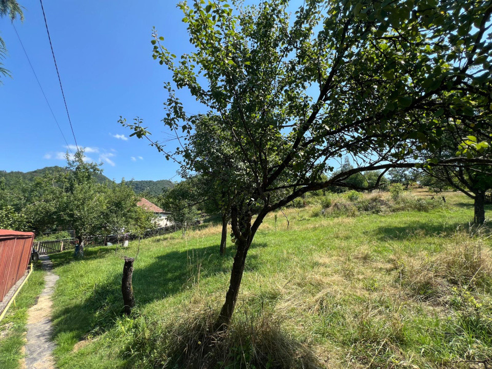 Teren intravilan in zona linistita de 13 ari 