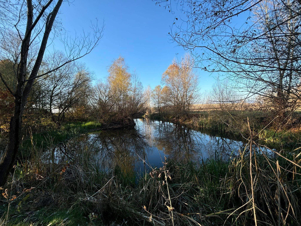 Teren cu balta de pescuit de vanzare 