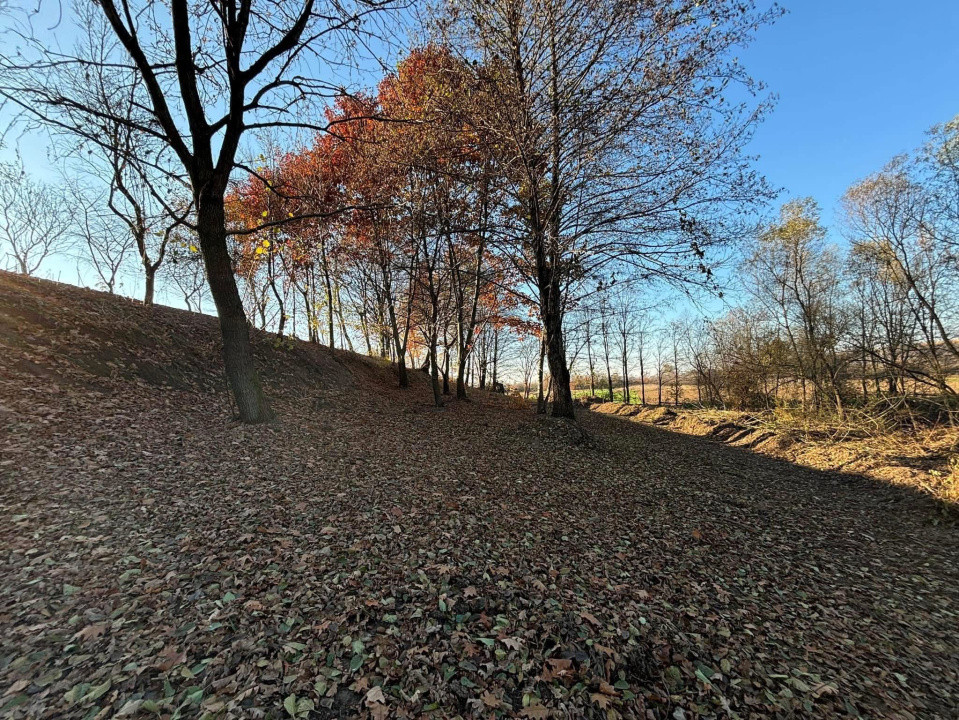 Teren cu balta de pescuit de vanzare 