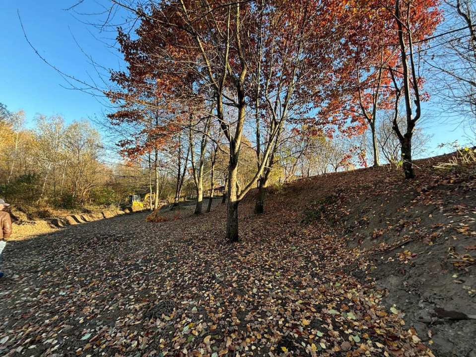Teren cu balta de pescuit de vanzare 