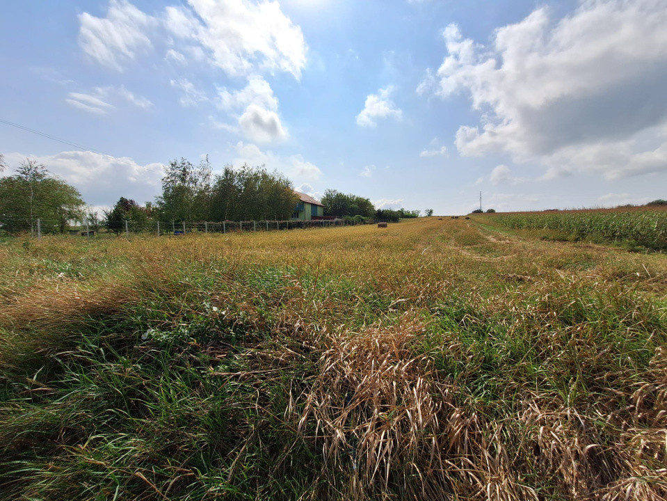Ofertă de vânzare teren intravilan, Tureni, 5800 mp.