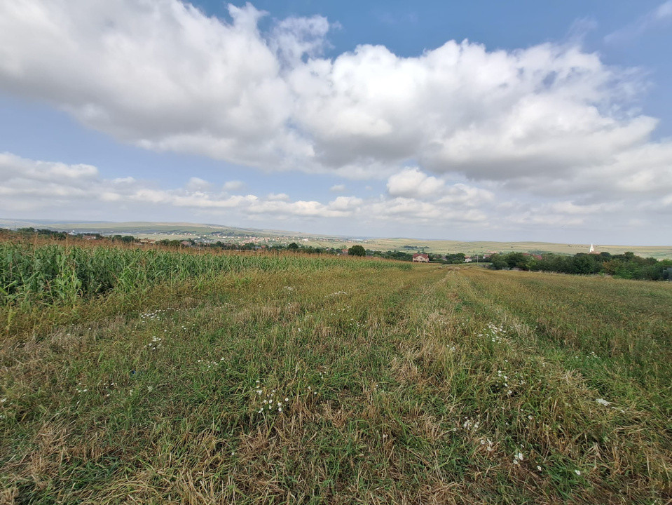 Ofertă de vânzare teren intravilan, Tureni, 5800 mp.