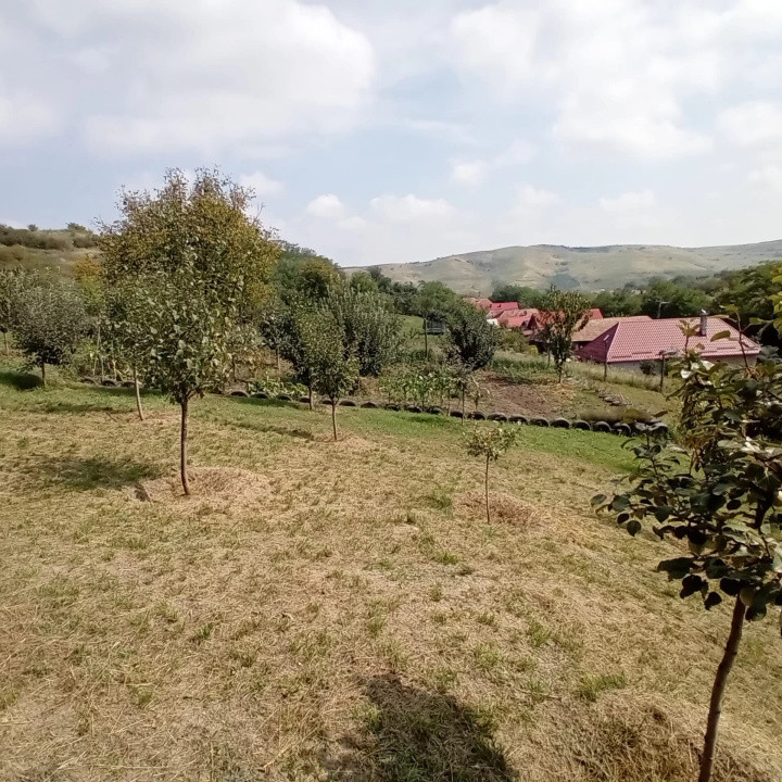 EXCLUSIVITATE! 2 case la pret de una, cu teren mare la 14 km de Cluj!