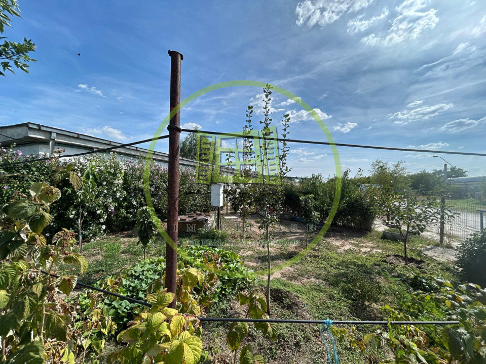 Teren+Hala,6823 MP teren, 1269 mp hala, Carcea