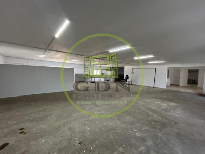 Teren+Hala,6823 MP teren, 1269 mp hala, Carcea