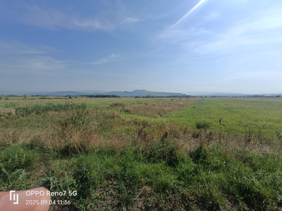 Teren de vânzare -Reghin - Dedradului 5000 mp  