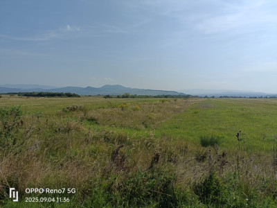 Teren de vânzare -Reghin - Dedradului 5000 mp  