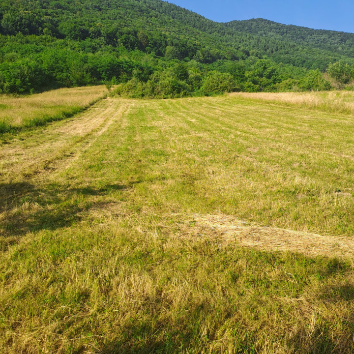 Teren extravilan ,1200mp, spre vanzare  in Poplaca vedere panoramica spre munte