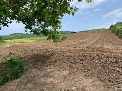 Teren intravilan | 5100 mp | zona Gușterița  