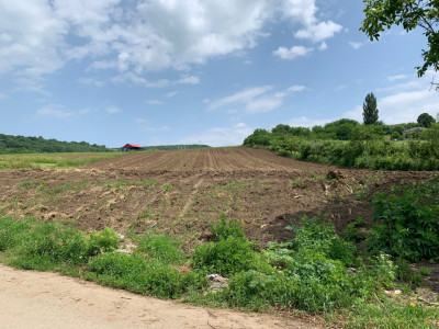 Teren intravilan | 5100 mp | zona Gușterița  