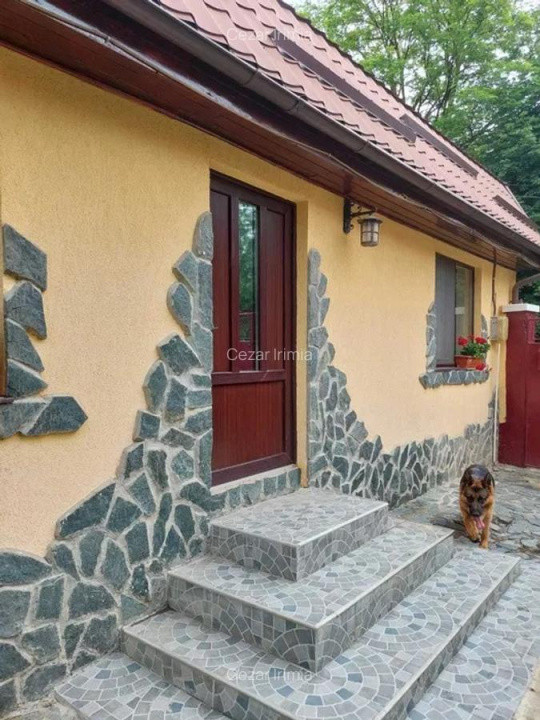 Vand casa 3 camere ARIUSD