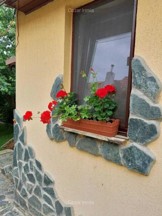 Vand casa 3 camere ARIUSD