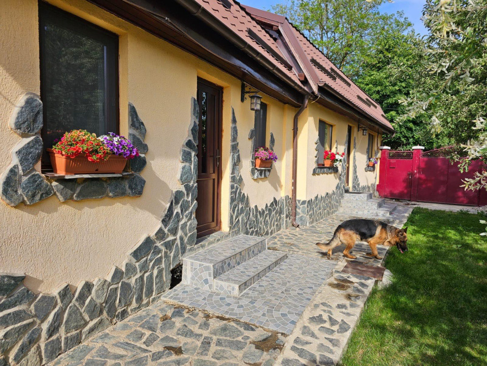 Vand casa 3 camere ARIUSD