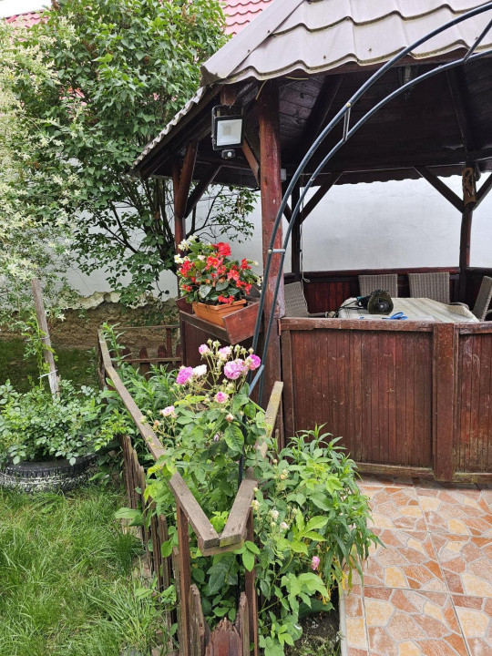 Vand casa 3 camere ARIUSD