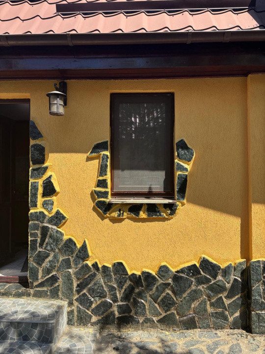 Vand casa 3 camere ARIUSD