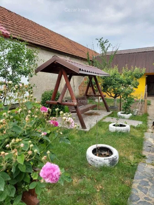 Vand casa 3 camere ARIUSD