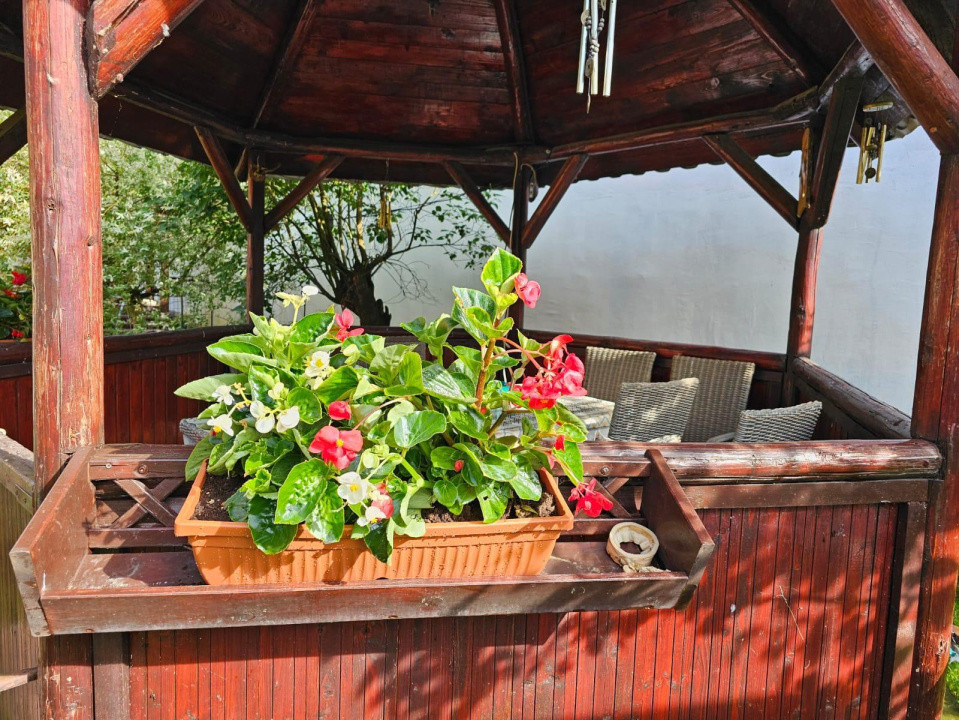 Vand casa 3 camere ARIUSD