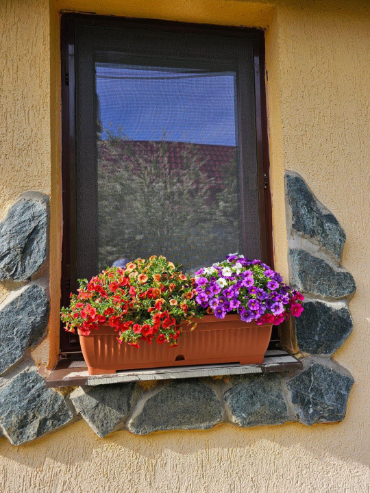 Vand casa 3 camere ARIUSD