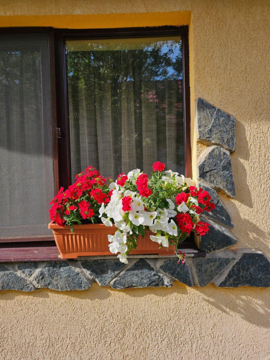 Vand casa 3 camere ARIUSD