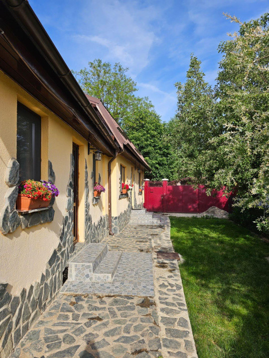 Vand casa 3 camere ARIUSD