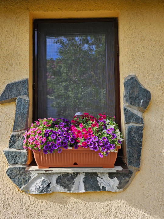 Vand casa 3 camere ARIUSD