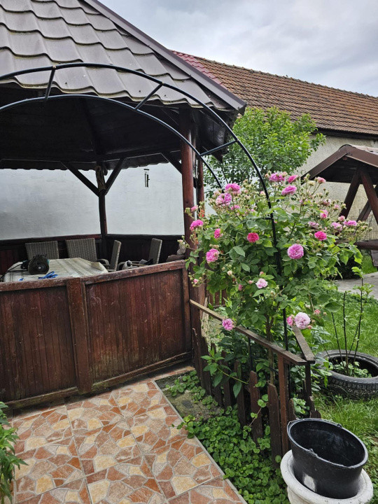 Vand casa 3 camere ARIUSD