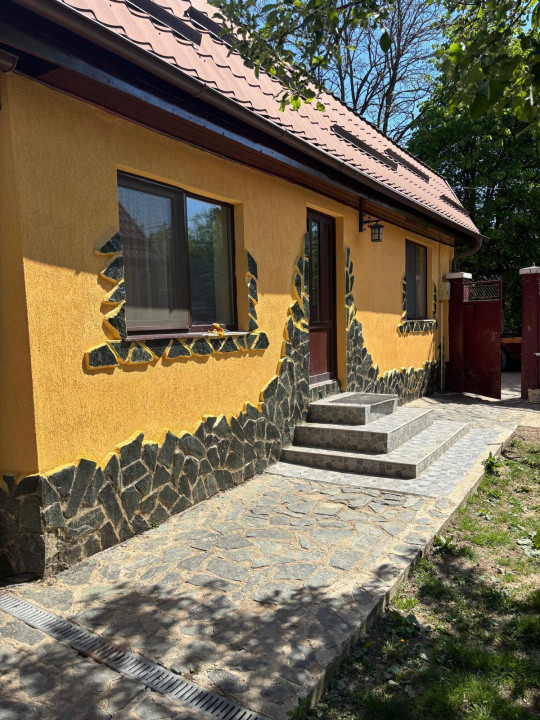 Vand casa 3 camere ARIUSD