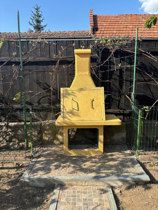 Vand casa 3 camere ARIUSD