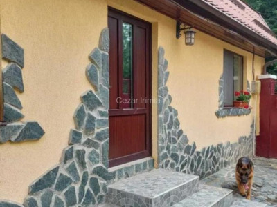 Vand casa 3 camere ARIUSD